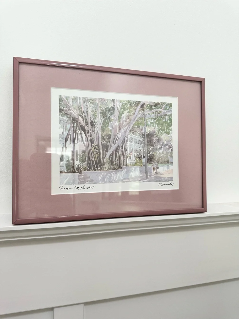 Pink Framed Mat Botanical Wall Art Robert E. Kennedy Iconic Banyan Tree Key West